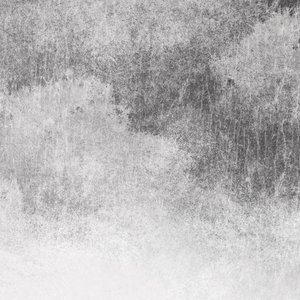 双飞麻将馆老板娘的背景资料
