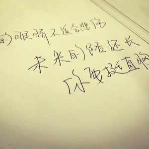 双飞麻将馆老板娘的背景资料
